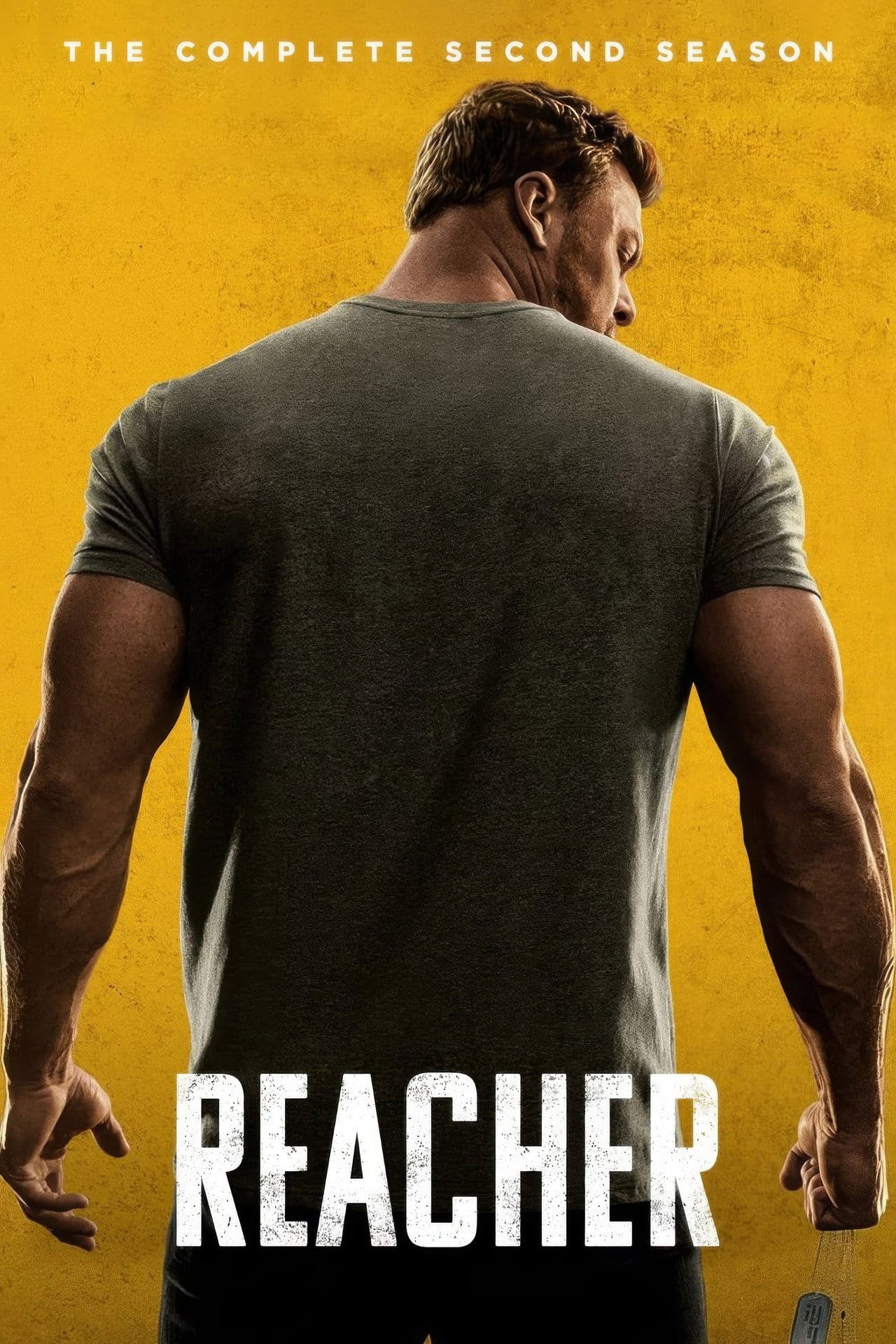 Reacher Sezon 2 - Vider