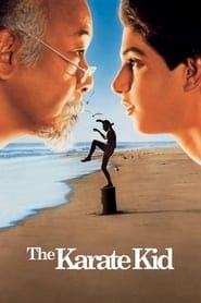 Karate Kid Cały Film (1984) Online - Filman