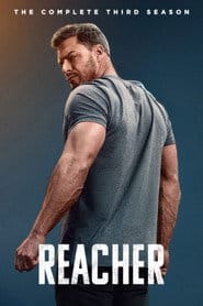 Reacher Sezon 3 - Vider