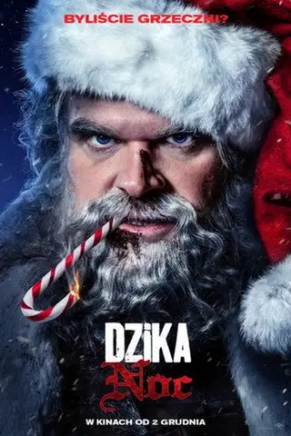 Dzika noc (2022) Vider - Cały Film