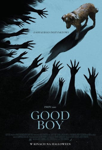 Good boy (2025) Vider - Cały Film