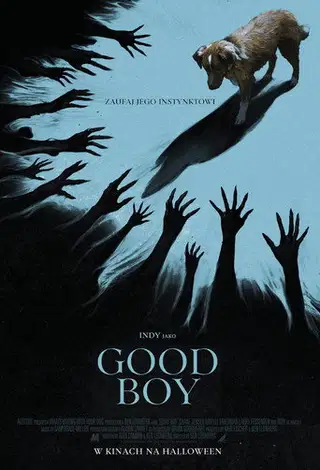 Good boy (2025) Vider - Cały Film