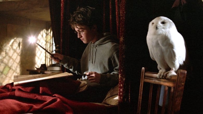 Harry Potter i więzień Azkabanu (2004) Vider - Cały Film