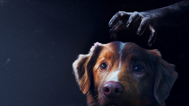 Good boy (2025) Vider - Cały Film