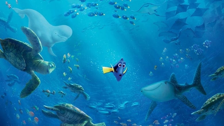 Gdzie jest Dory na Vider | Online